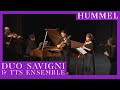 J n hummel serenade op 63  touchthesound ensemble xiii festival corde dautunno