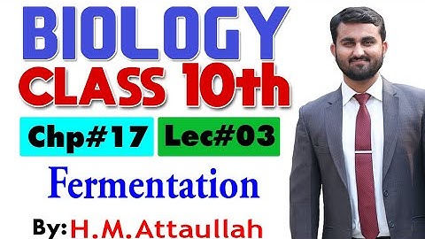 Fermentation | smart syllabus| ALP|  Chapter # 17 | Biology Class 10th | Lec.3