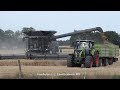 Fendt Ideal 9T-+++ / Getreideernte - Grain Harvest  2019