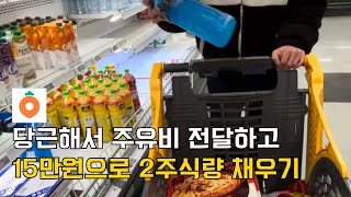 [현금생활VLOG] 남친 주유비 챙겨주기 | 15만원으로 2주식량 채우기 | 일주일정산과 저축