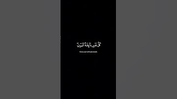 سورة العنكبوت الاية 56 - 58 القارئ عبد الرحمن مسعد