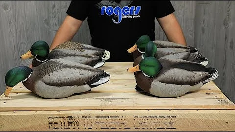 Avian-X Series Decoys