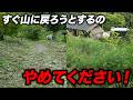 山がすぐ山に戻ろうとするのを誰か止めてください