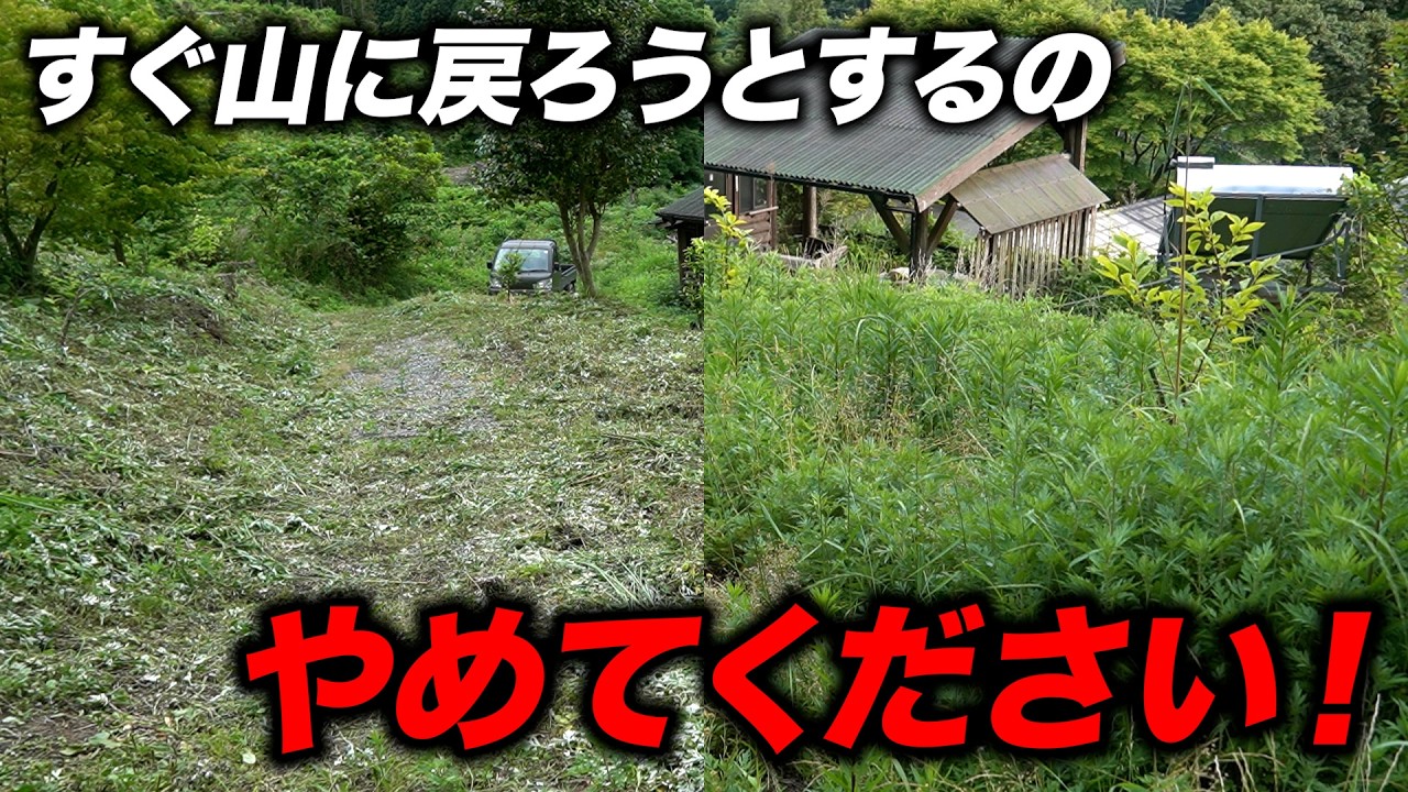 山がすぐ山に戻ろうとするのを誰か止めてください