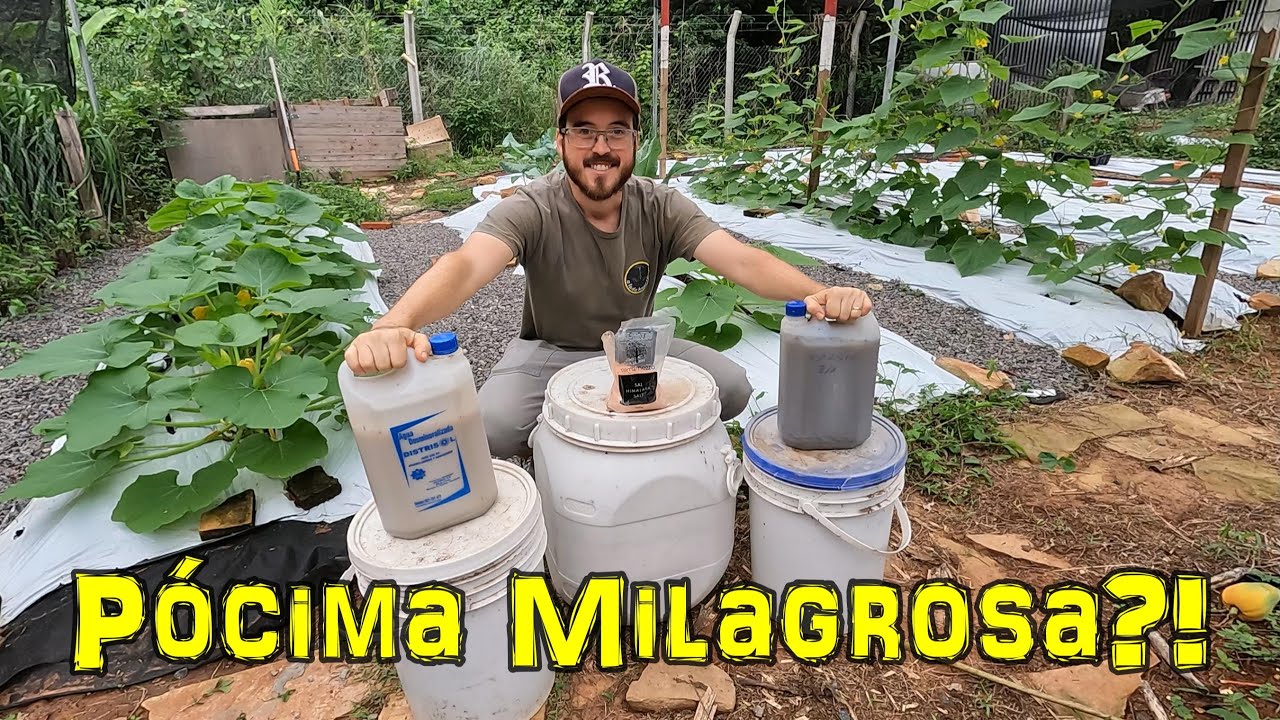 INCREIBLE! JADAM realmente me sorprendio