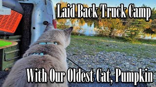 TRUCK CAMPING WITH A CAT  Laid Back Truck Camp; Our Oldest Cat, Pumpkin!