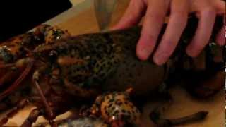 How to Kill a Lobster...Humanely