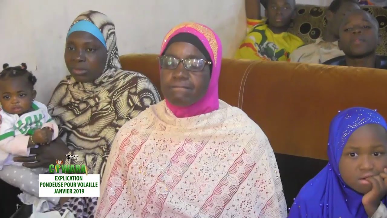 CIWARA PONDEUSE 09 01 2020 PART 01 CHERIFLA TV