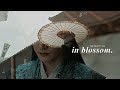 The beauty of in blossom