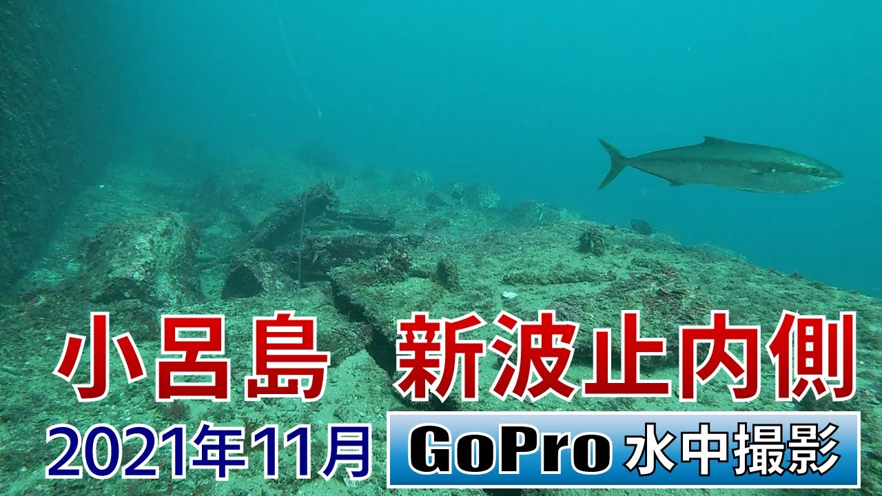 小呂島新波止の内側でgopro沈めてみた Youtube
