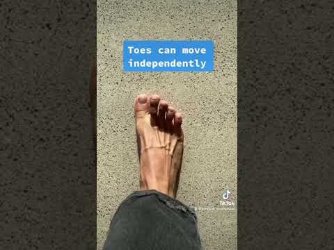 Video: Ali čevlji ewing ustrezajo velikosti?