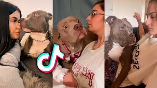 Bark At Your Dog Challenge - TikTok Compilation