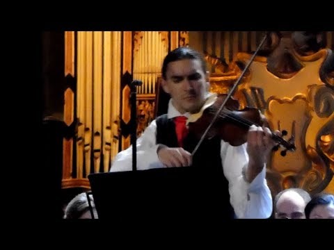 Johann Sebastian Bach - Adagio (Sergey Malov & Georgian Sinfonietta)