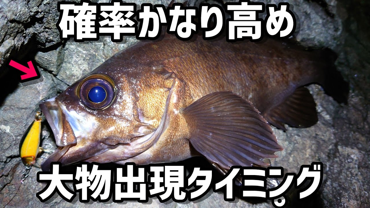 【メバリング】だいたい釣れる時はこんな・・・