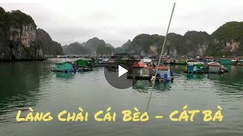 Bến Bèo - Cát Bà ra thăm Làng chài nổi của ngư dân biển đảo ! #Adventure with Hieu