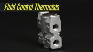 15719 Details about   Derale Remote Oil Thermostat Dual 1/2 in NPT Female Inlets Dual 1/2 in … 