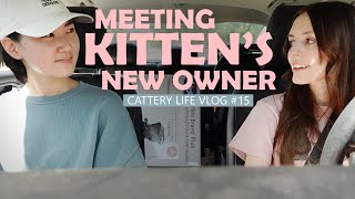 Kittens Go To Their Forever Homes | CATTERY LIFE VLOG #15 by Pearl's Ragdolls 6,595 views 2 years ago 13 minutes, 16 seconds