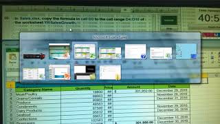 Excel Test ICDL V5 Exam screenshot 2