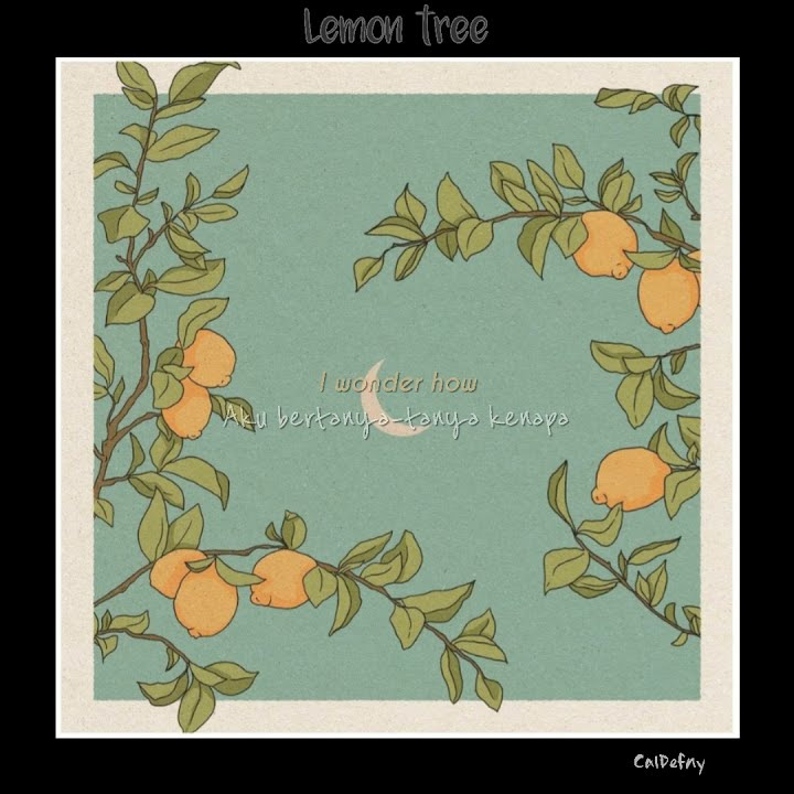 Lirik Lemon Tree | Story WA || indo terjemahan