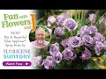 Introducing the NEW Blue Applause&reg; Spray Rose from Florigene and Suntory Flowers!