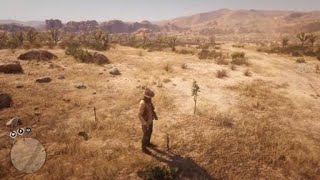 Red Dead Redemption 2 - RDR2 - BLACKCURRANT - RARE HERB - LOCATION - 5 PIECES AROUND Red Dead Redemption 2 - RDR2 - BLACKCURRANT - RARE HERB - LOCATION - 5 PIECES AROUND