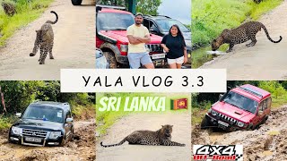 Vlog 35  Yala National Park 3.3 | Leopard | offroad Drive | Yala Safari ​⁠Sri Lanka | Wild animal