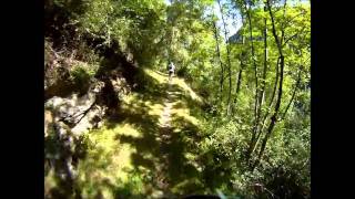From Zermatt to Visp ride 1b