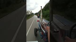 Seda Sayan Şiire Gazelle (Tedavii) Resimi