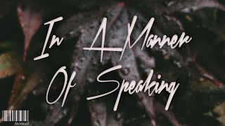 Miniatura del video "Nouvelle Vauge - In a Manner Of Speaking LYRICS"