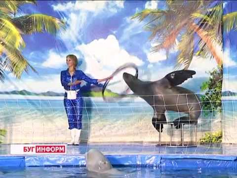 2015-09-11 г. Брест. Российский дельфинарий: красочное шоу и нешуточные эмоции. Телекомпания Буг-ТВ.
