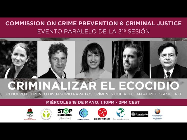 Criminalizar el ecocidio - un nuevo elemento disuasorio para crímenes que afectan al medio ambiente