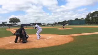 Detroit Tigers' Victor Martinez takes more swings in minor league game