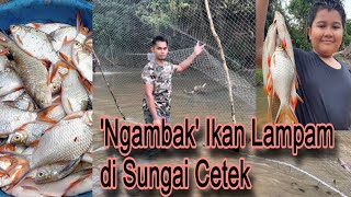 Tak mudah rupanya 'Ngambak' ikan lampam...letih tapi seronok