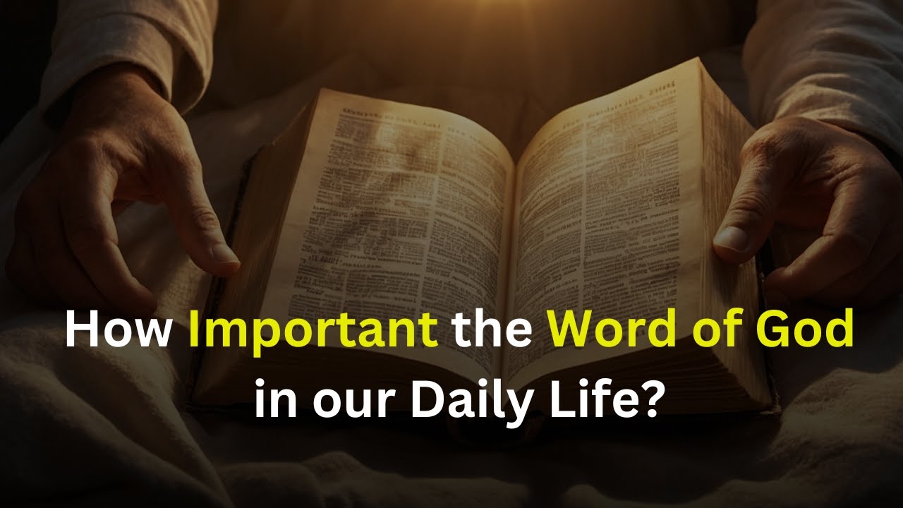How Important The Word of God in our Daily Life? - YouTube