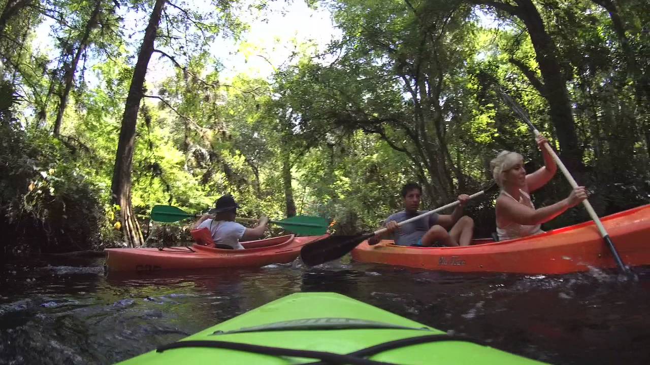 Kayaking Riverbend Park Jupiter FL May 22, 2016 part 2 YouTube