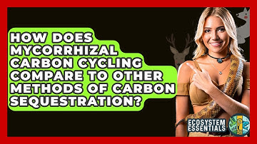 How Does Mycorrhizal Carbon Cycling Compare To Other Methods Of Carbon Sequestration?