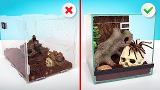 2 Perfect Homes For Your Pet Spider || Assembling A Tarantula Terrarium