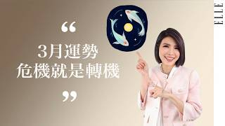 3月星座運勢｜雙魚先別慌，等待大翻轉｜ELLE Taiwan x 蘇飛雅