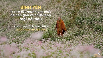 Thầy Minh Niệm | Bình yên là chất liệu quan trọng nhất để hàn gắn và chữa lành mọi nỗi đau | NDTH