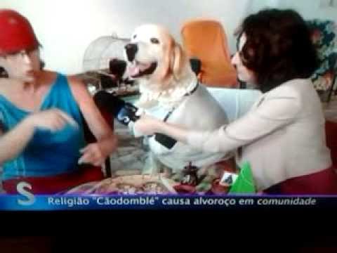 "Cãodomblé", sério, existe! o.O