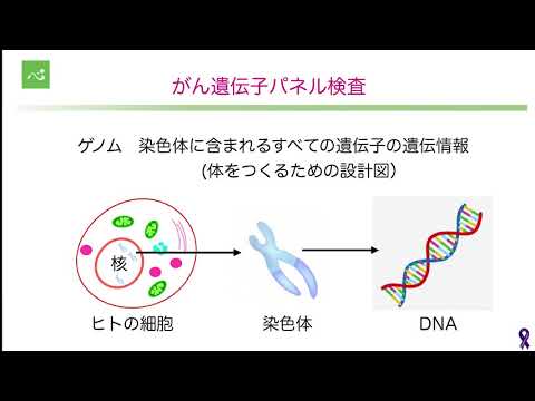 膵がんのリスクと診断