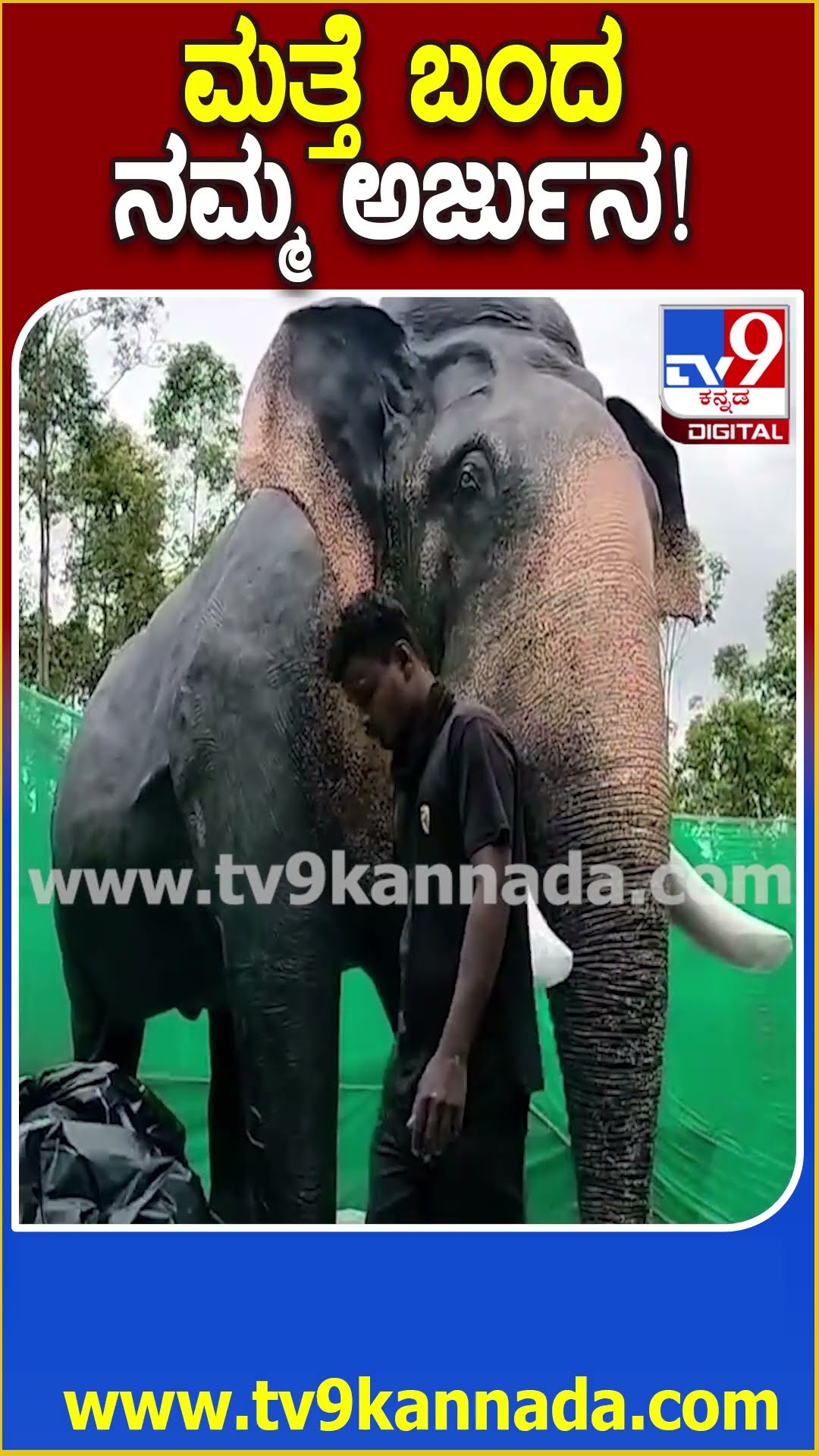 Arjuna Elephant ಸಮಾಧಿ ಬಳಿ ಸುಂದರ ಮೂರ್ತಿ ನಿರ್ಮಾಣ.. 10 ಕಲಾವಿದರ ಎರಡೂವರೆ ತಿಂಗಳ ಶ್ರಮ ಕೊನೆಗೂ ಯಶಸ್ವಿ| #TV9D