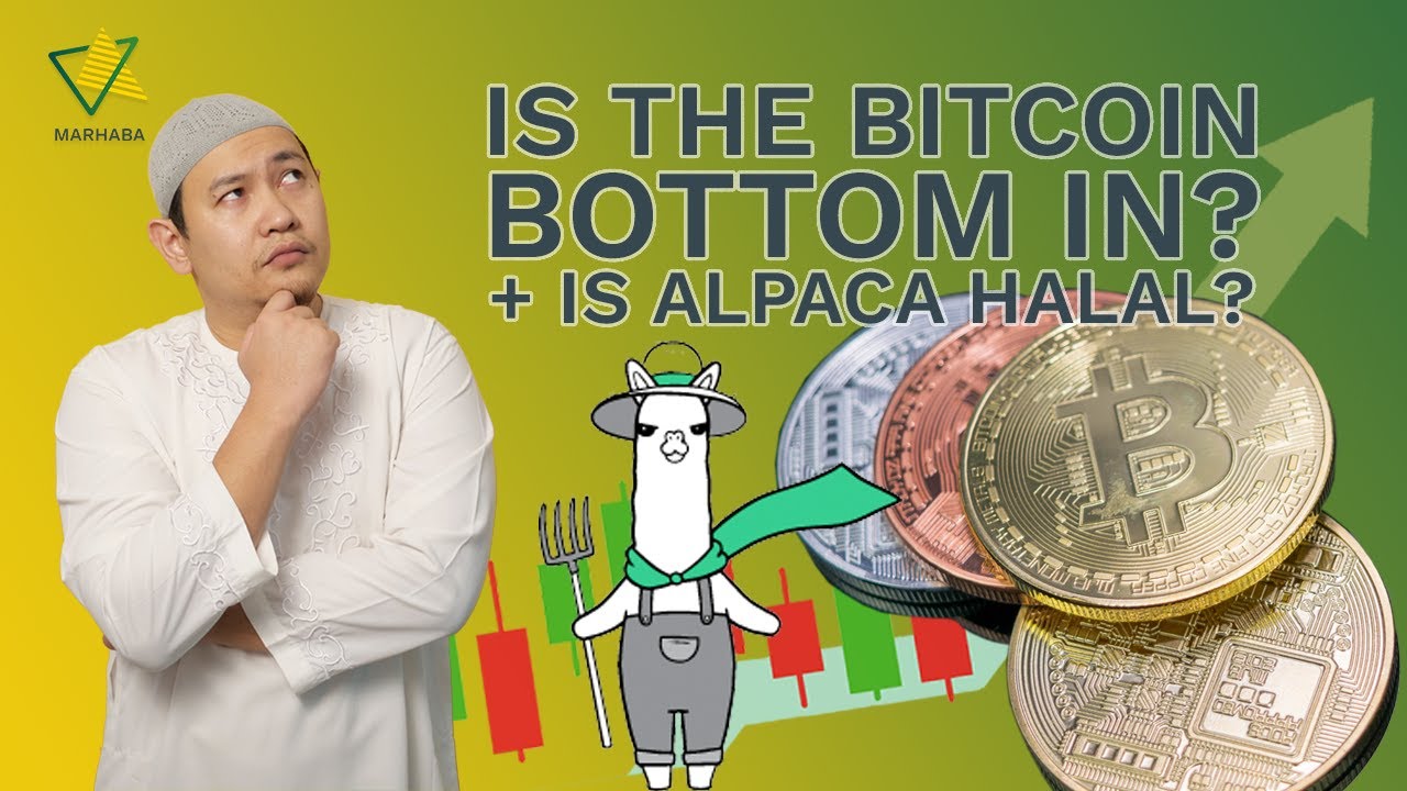 Is the Bitcoin bottom in or more pain ahead? - YouTube
