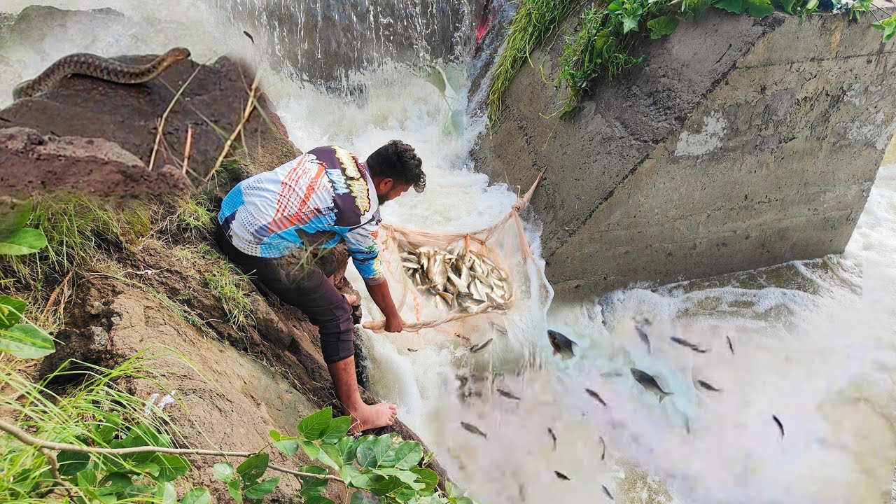 खतरनाक ठिकाणी पहिल्या पुरात पकडले तुफान चढणीचे मासे. Traditional fishing technique| Kalu Gabhale