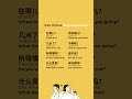 Everyday Questions in Chinese | Learn Chinese in Beijing
