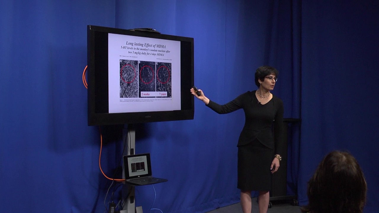 SF2UF Dr. Habibeh Khoshbouei: How did I get here? My journey in academia and science