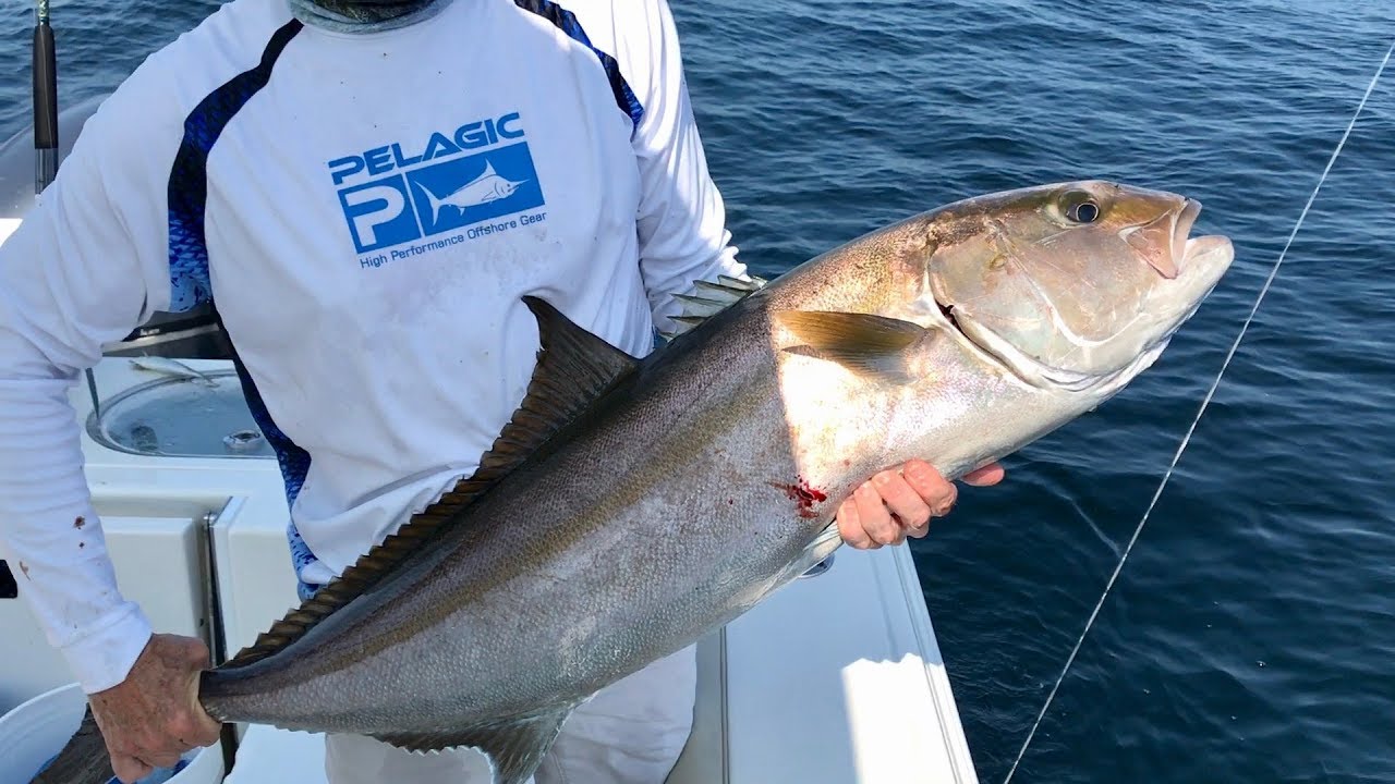 Offshore Fishing in Florida Lots of Action YouTube