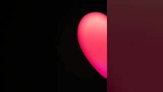 21 Марта 2025 Г.