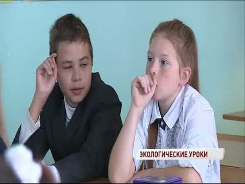 В двух районах Ярославля начнется раздельный сбор мусора: как этому учат школьников