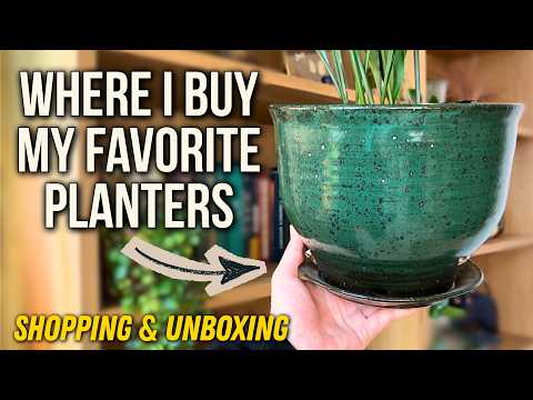 This Is My Favorite Place To Buy Planters Online | Sprout Home Shopping & Unboxing
